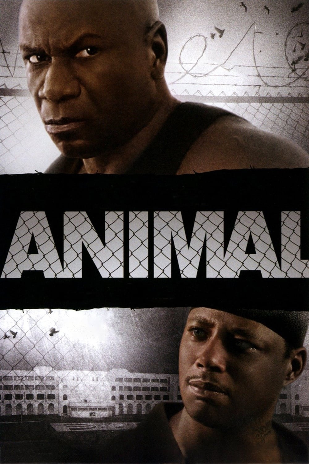 Постер Animal